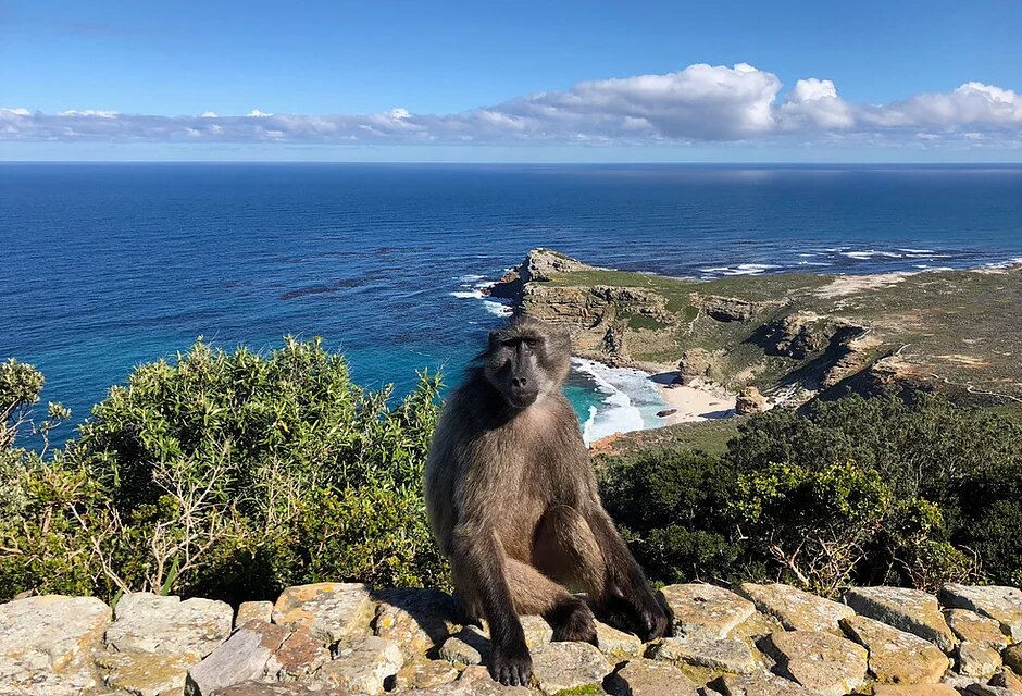 cape-point4