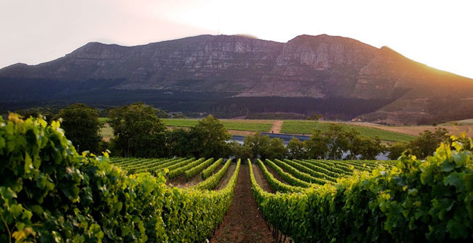 cape-winelands-10